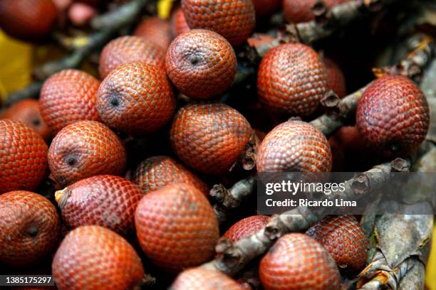 basket with fruits, amazon region - brazil - belém brazil ストックフォトと画像