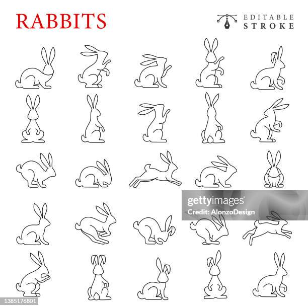 ilustraciones, imágenes clip art, dibujos animados e iconos de stock de conjunto de iconos de línea de conejos. trazo editable. - rabbit