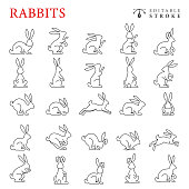 Rabbits Line Icon Set. Editable Stroke.