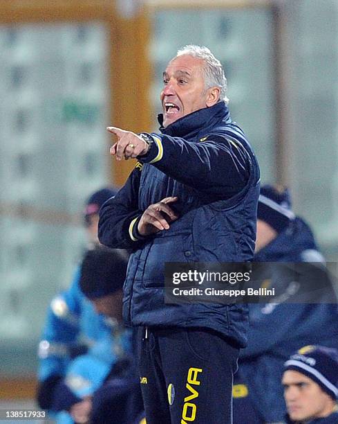 59 Cuttone Stock Photos, HighRes Pictures, and Images Getty Images