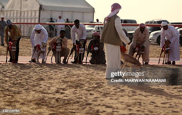 An Emarati man shows saluki dogs a live deer before the start of the traditional dog race in Shweihan on the outskirts of Abu Dhabi on February 08,...