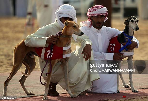 Emirati men wait with their Arabian saluki dogs for the start of the annual traditional race in Shweihan on the outskirts of Abu Dhabi on February...