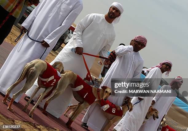 Emirati men wait with their Arabian saluki dogs for the start of the annual traditional race in Shweihan on the outskirts of Abu Dhabi on February...