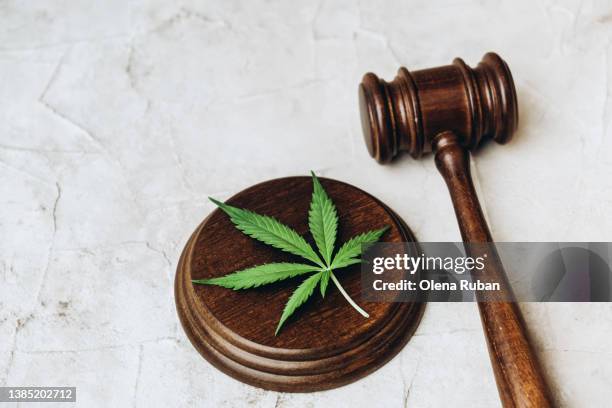 close up of fresh green cannabis leaf lying down on sound block and gavel. - marihuana hierba de cannabis fotografías e imágenes de stock