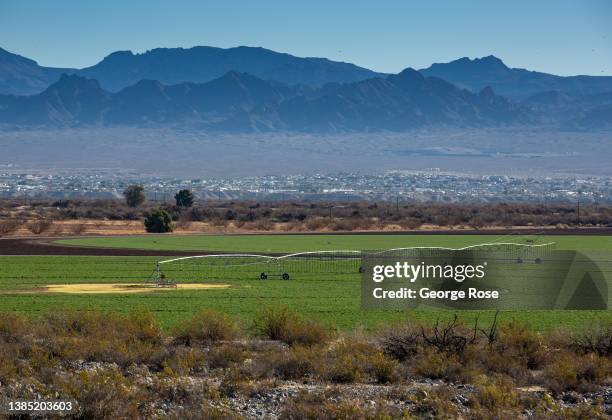 Large scale farming of hay and alfalfa, using mechanized overhead irrigation systems that move in a circle, are viewed on March 10, 2021 in Needles,...