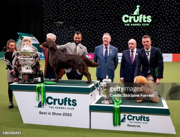 Baxer , a Flat Coat Retriever takes home the coveted title Crufts Best in Show champion with owner Patrick Oware, while Waffle a Toy Poodle from...
