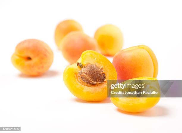 abricots - abricots stock-fotos und bilder