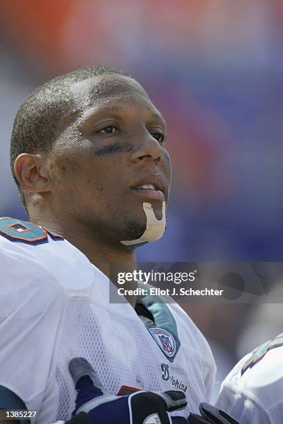 Miami Dolphins Oronde Gadsden Photos and Premium High Res Pictures