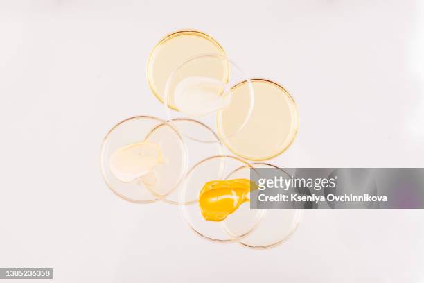 abstract oil circle bubbles in a petri dish top view. laboratory cosmetic or medicine background. - organic chemistry in laboratory fotografías e imágenes de stock