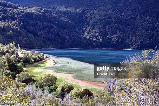 parque nacional los alerces - chubut province ストックフォトと画像