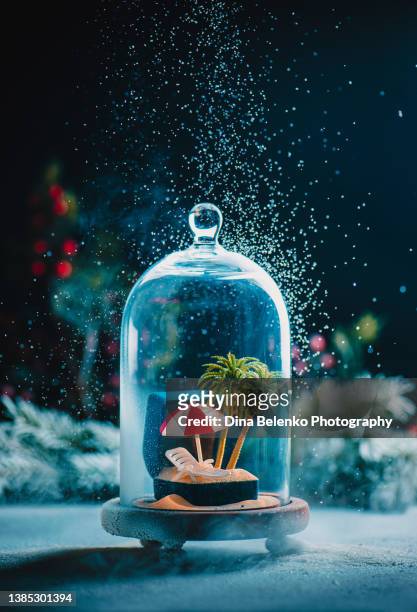 sunny resort with palm trees in a gift box under a glass dome surrounded by snow, escape from cold concept - surrounding stock pictures, royalty-free photos & images