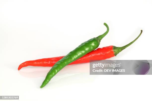 hot chilli or chilli peppers isolated - hot pepper bildbanksfoton och bilder