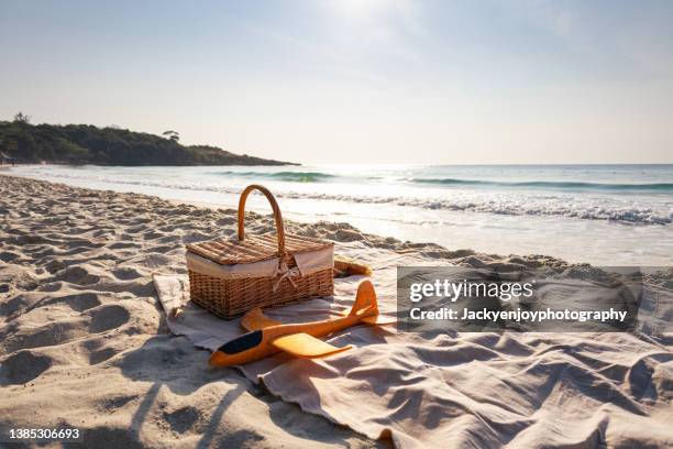 picnic basket by the seaside - picnic blanket stockfoto's en -beelden