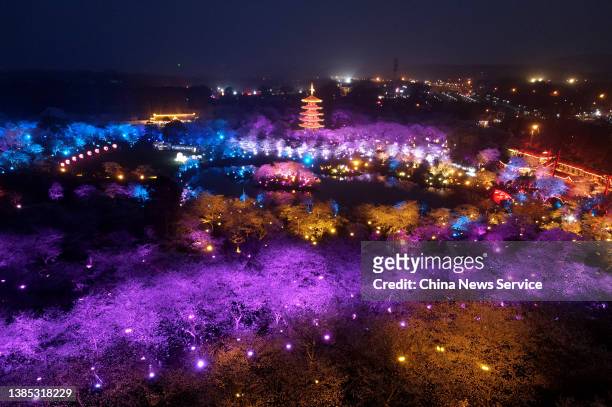 Night view of blooming cherry blossoms at the East Lake Park on March 14, 2022 in Wuhan, Hubei Province of China. The blossoms are beautifully...