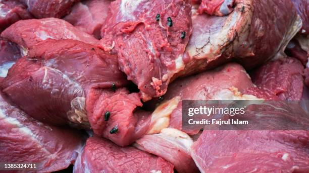 cow meat that has been cut into pieces and cubes - ground beef stew stock pictures, royalty-free photos & images