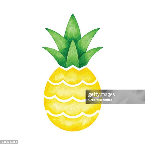 watercolor pineapple symbol - pineapple stock illustrations