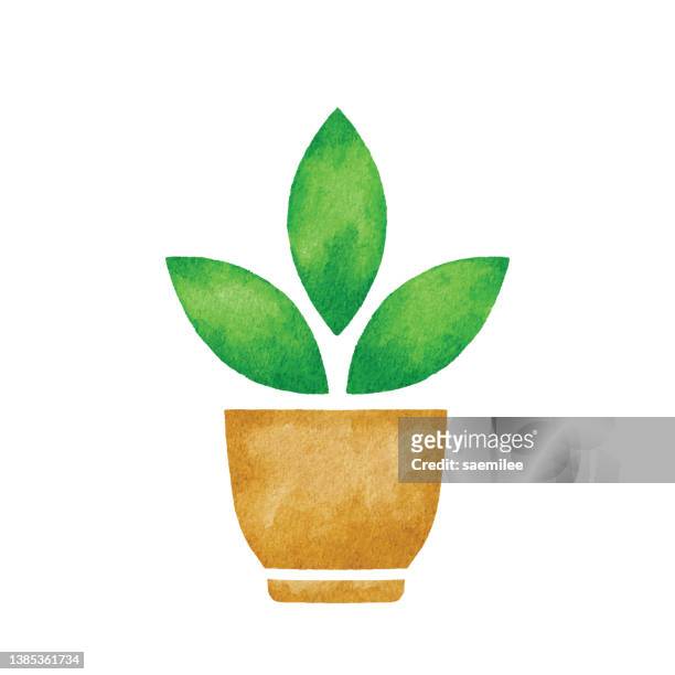 aquarell pflanze im topf symbol - biologo stock-grafiken, -clipart, -cartoons und -symbole