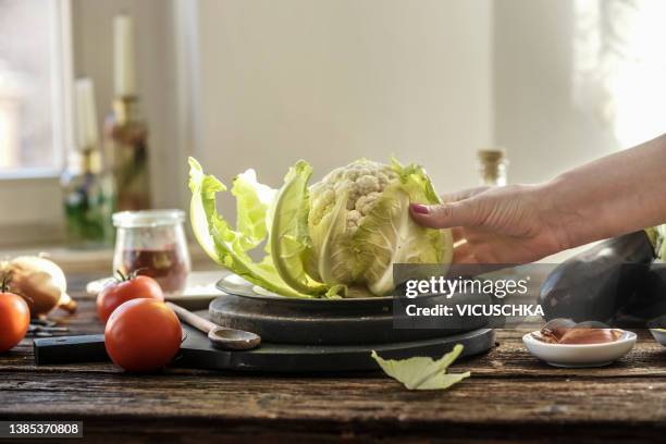 woman hand preparing whole raw cauliflower on rustic wooden kitchen table with various ingredients and vegetables at wall background with windows and natural light - cabbage family fotografías e imágenes de stock