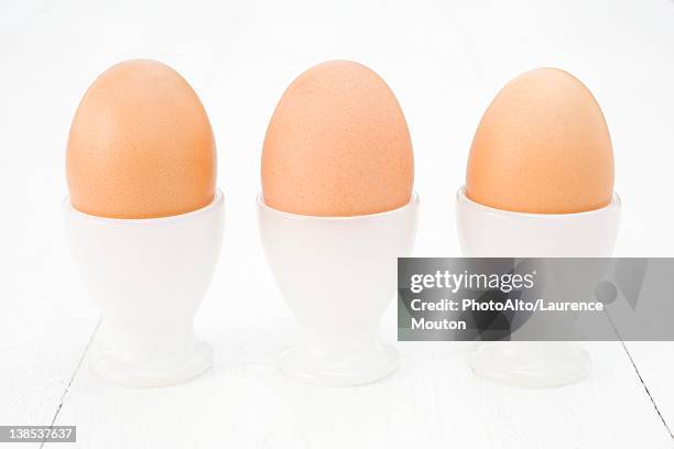 eggs in egg cups - egg cup stock pictures, royalty-free photos & images