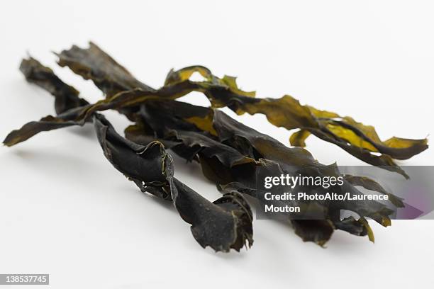 dried seaweed (wakame) - kelp stock-fotos und bilder