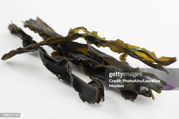 dried seaweed (wakame) - seaweed stock pictures, royalty-free photos & images