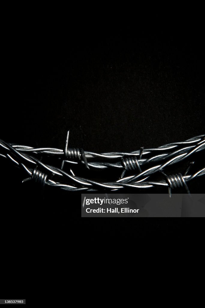 Barbed wire against black background