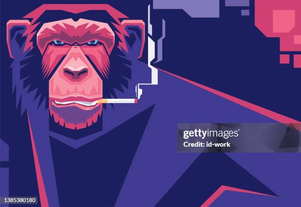 illustrations, cliparts, dessins animés et icônes de chimpanzé fumant cigarette - chimpanzee aggression