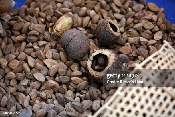 basket with brazil nut, amazon region, brazil - se stockfoto's en -beelden