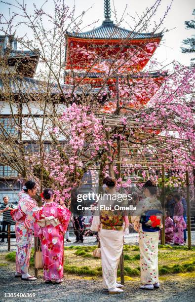 cherry blossom at kiyomizu-dera, kyoto, japan - japanese pagoda bildbanksfoton och bilder