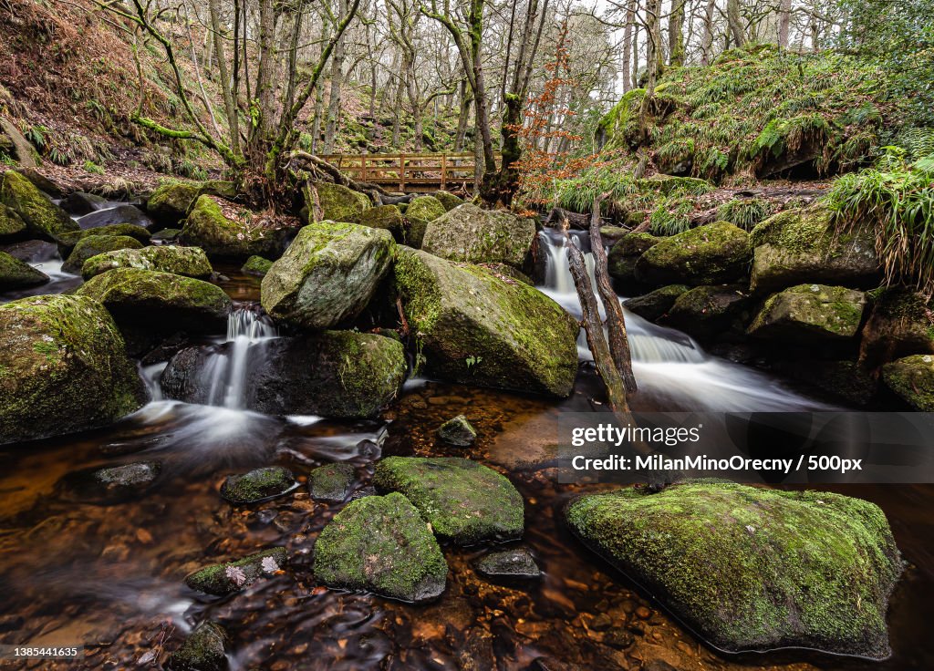 Secrets of rivers,Scenic view of waterfall in forest,Padley Gorge,United Kingdom,UK