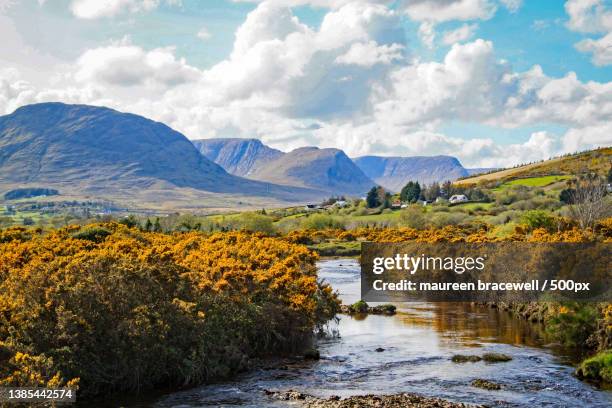 into the light,scenic view of lake against sky,ireland - gorse stock pictures, royalty-free photos & images