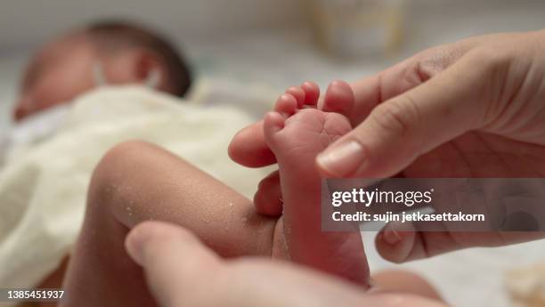 mother holding newborn's tiny foot - low section stock pictures, royalty-free photos & images