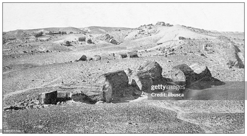 Antique travel photographs of Grand Canyon: Petrified forest