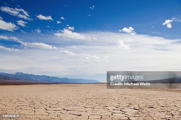 cracked earth at death valley, california - salt flats stock pictures, royalty-free photos & images