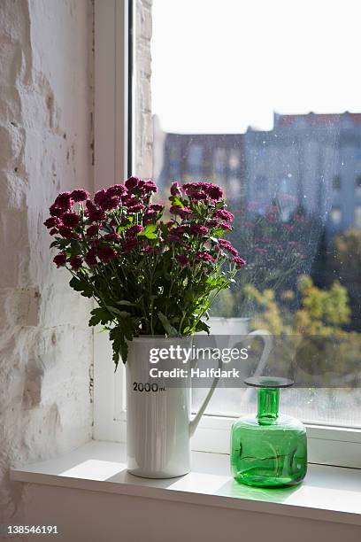 a green bottle and bouquet of flowers on a window sill - sims stock-fotos und bilder