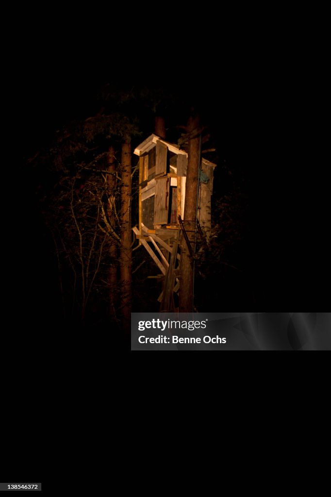 Spooky tree house