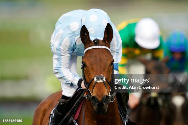 Rachel Blackmore on Honeysuckle look on after crossing the finish line to win The Unibet Champion Hurdle race during day one of the Cheltenham...