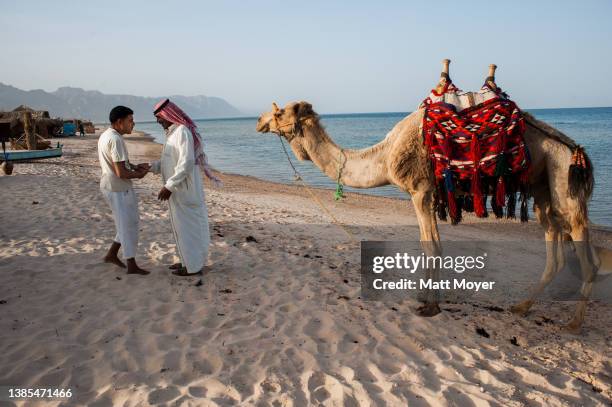 Salam Abu Tarabush greets a man on the beach with his camel, Rambo, near the Gulf of Aqaba in the Sinai, Egypt on April 24, 2008.