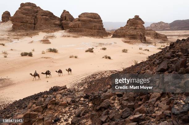 Bedouin's leads his camels through the landscape of the Sinai near St. Catherine on May 14, 2008.
