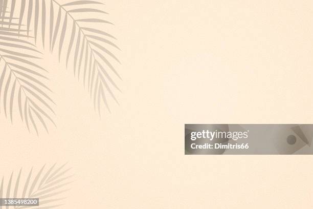 ilustraciones, imágenes clip art, dibujos animados e iconos de stock de sombras de hojas de palma sobre fondo texturizado de arena - palm branch