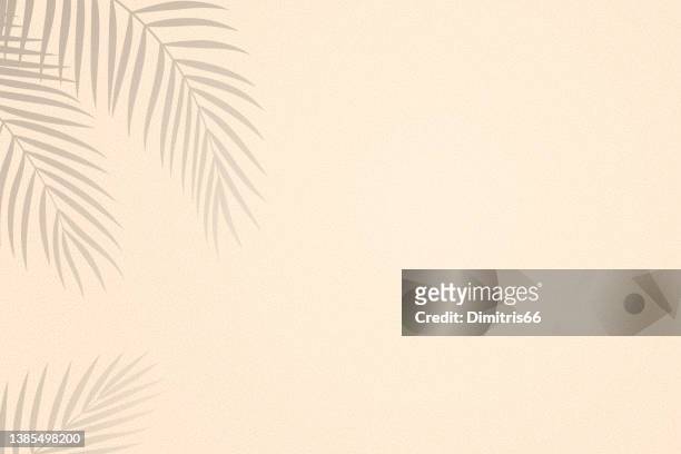 bildbanksillustrationer, clip art samt tecknat material och ikoner med palm leaves shadows on sand textured background - skugga