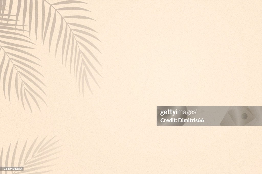 Palm leaves shadows on sand textured background
