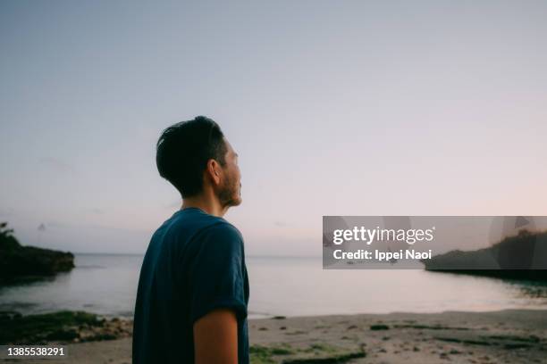 man contemplating on beach at dusk - von hinten stock-fotos und bilder