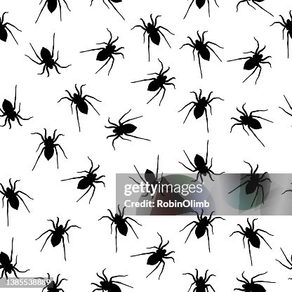 Black And White Spider Seamless Pattern Black And White Spider Seamless Pattern