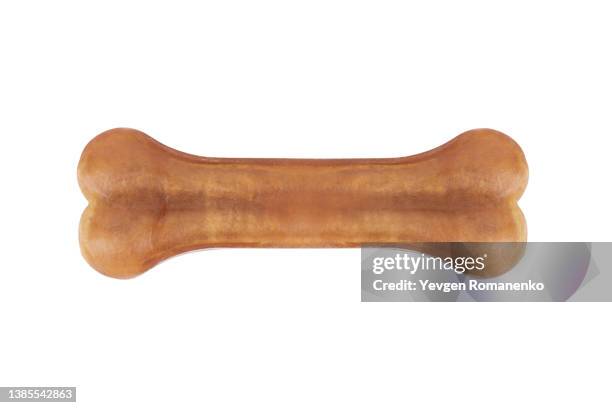 chewing bone isolated on white background - djurben skelettben bildbanksfoton och bilder