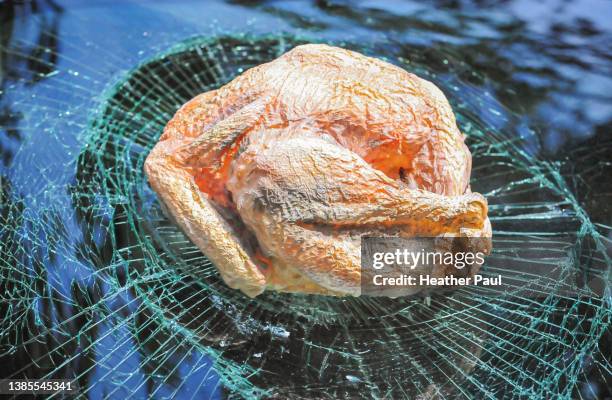 fake turkey stuck in a shattered truck windshield for a turkey fryer safety video shoot - videoshoot stockfoto's en -beelden