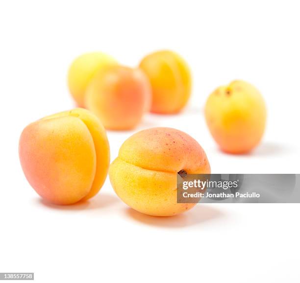 apricots - albaricoque fotografías e imágenes de stock