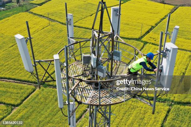 China Telecom network engineer works on a mobile phone mast in a flowering rape field on March 15, 2022 in Anyi County, Nanchang City, Jiangxi...