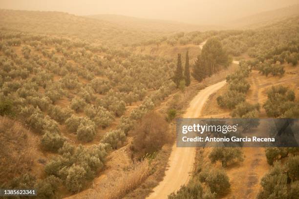 the haze with the sand storm reaches the spanish olive grove from north africad. calima sand storm - jaén fotografías e imágenes de stock