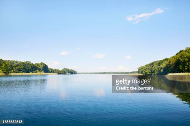 idyllic lake and clear sky, the blue sky is reflected in the smooth water - lake - fotografias e filmes do acervo
